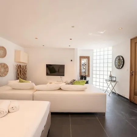 Rosetree With Sauna And Pool Table By Interhome De Haan